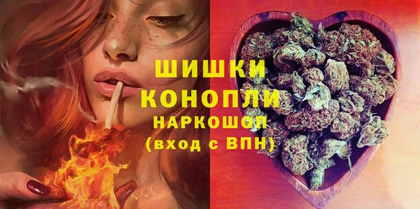 PSILOCYBIN Алзамай