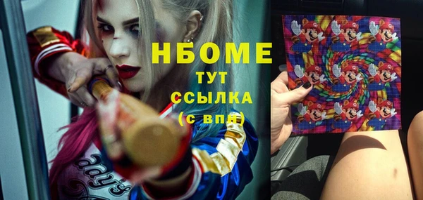 PSILOCYBIN Алзамай