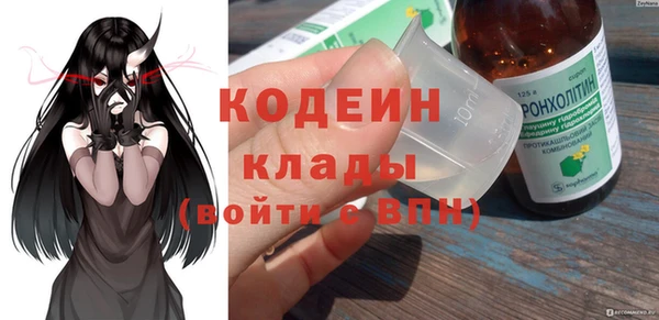 PSILOCYBIN Алзамай