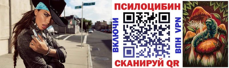 купить Павловский Посад Галлюциногенные грибы Cubensis